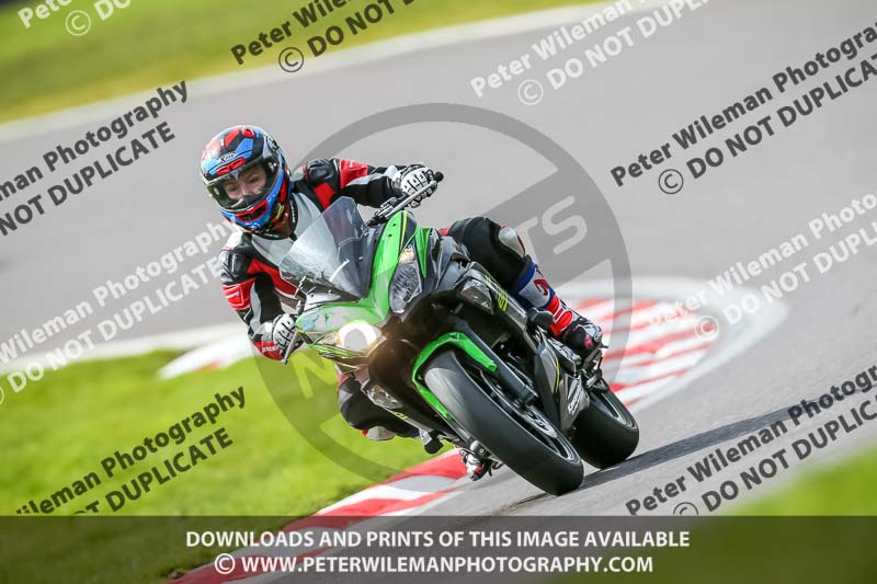 Oulton Park 21st March 2020;PJ Motorsport Photography 2020;anglesey;brands hatch;cadwell park;croft;donington park;enduro digital images;event digital images;eventdigitalimages;mallory;no limits;oulton park;peter wileman photography;racing digital images;silverstone;snetterton;trackday digital images;trackday photos;vmcc banbury run;welsh 2 day enduro